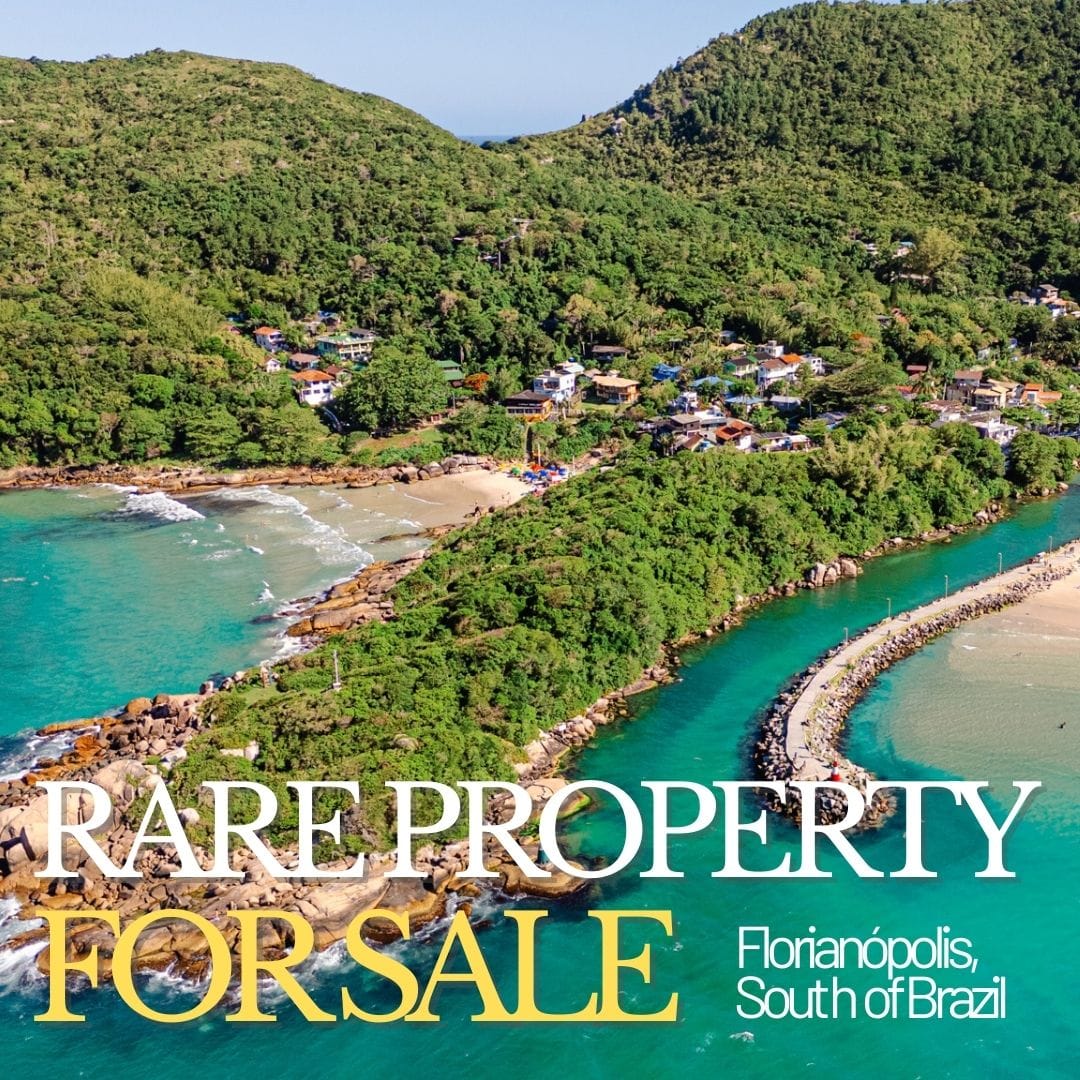 Rosemary Dream property photo 5